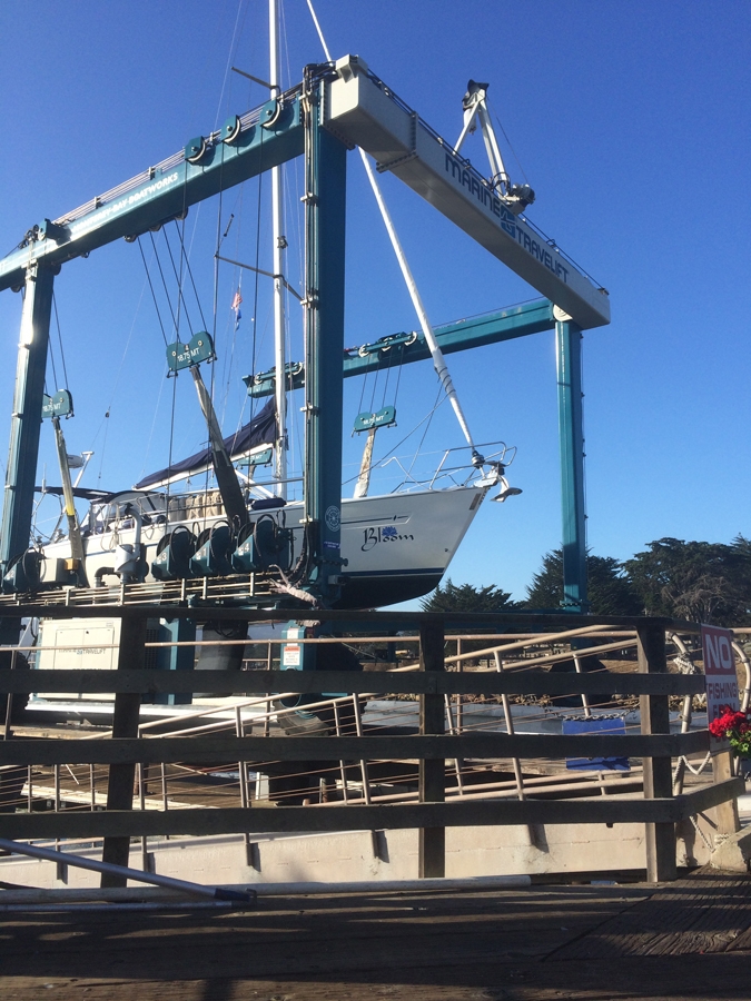 Bloom gets hauled out in Monterey by Monterey Boat Works