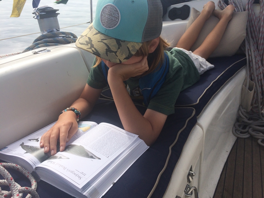 Carson identifying whales in his mammal guide