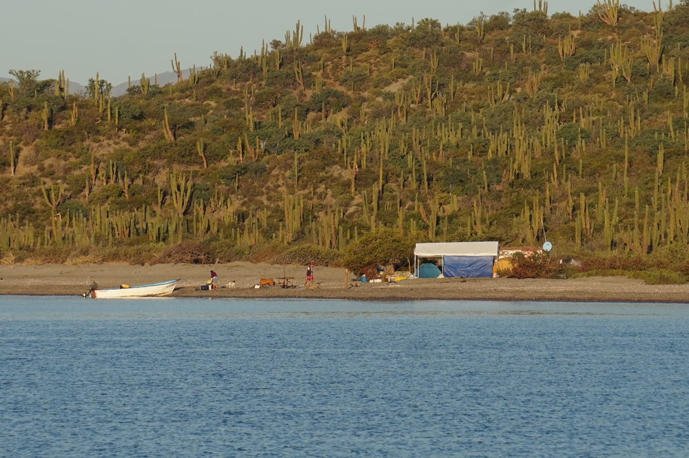 Sailing the Sea of Cortez: San Carlos to La Paz