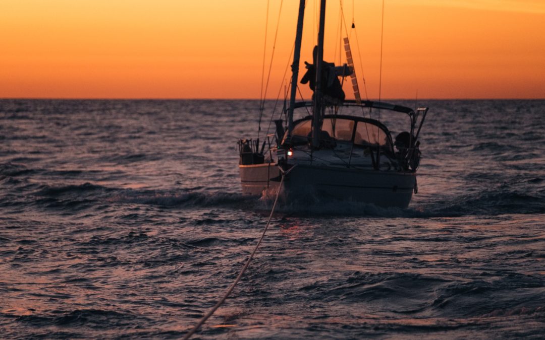 Sea Shepherd to the Rescue: Stranded in the Sea of Cortez